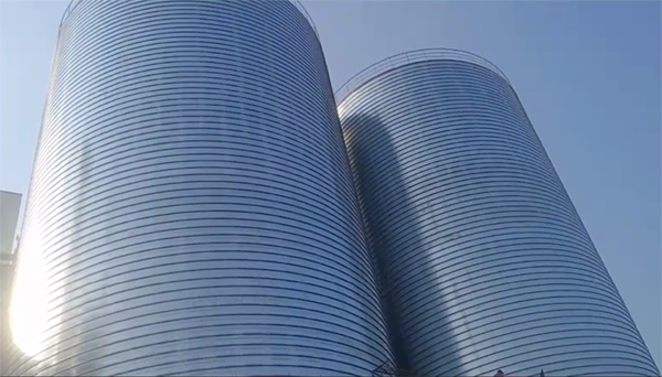 滨海2座混凝土高架卷板仓